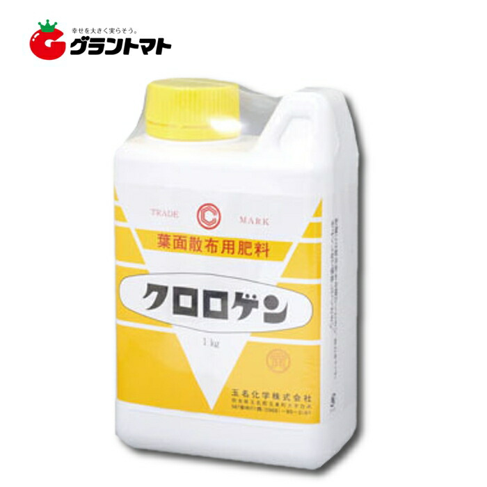 楽天市場 クロロゲン黄 1kg P リン酸 K 加里 型 花芽分化期用葉面散布液肥 玉名化学 グラントマト 楽天市場店