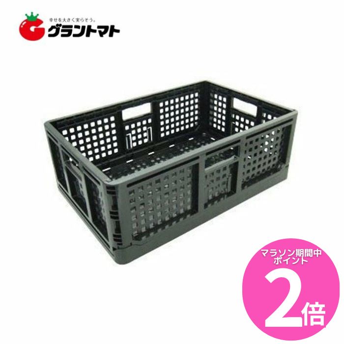 楽天市場】折りたたみコンテナ（黒）（10個セット・送料無料