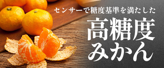 ルナ様専用】みかんジュース 12本⑤ 飲料・酒