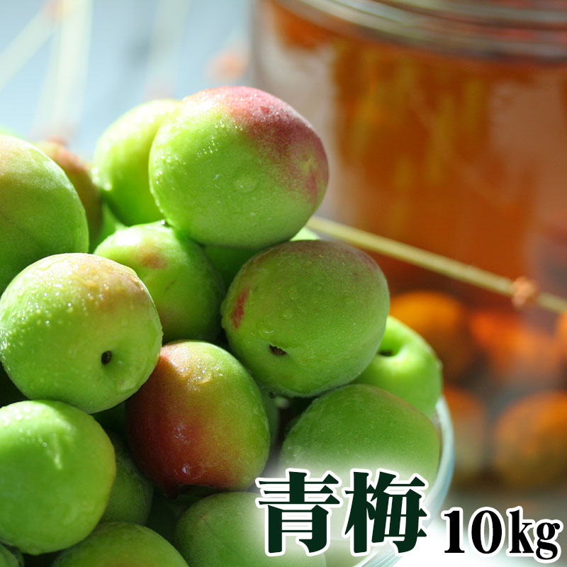 青梅10kg箱（南高梅）L～3L　30箱限定　※サイズはお選びいただけません（6月9日以降に出荷（6月9日～20の間で1回））【紀の里地域本部】