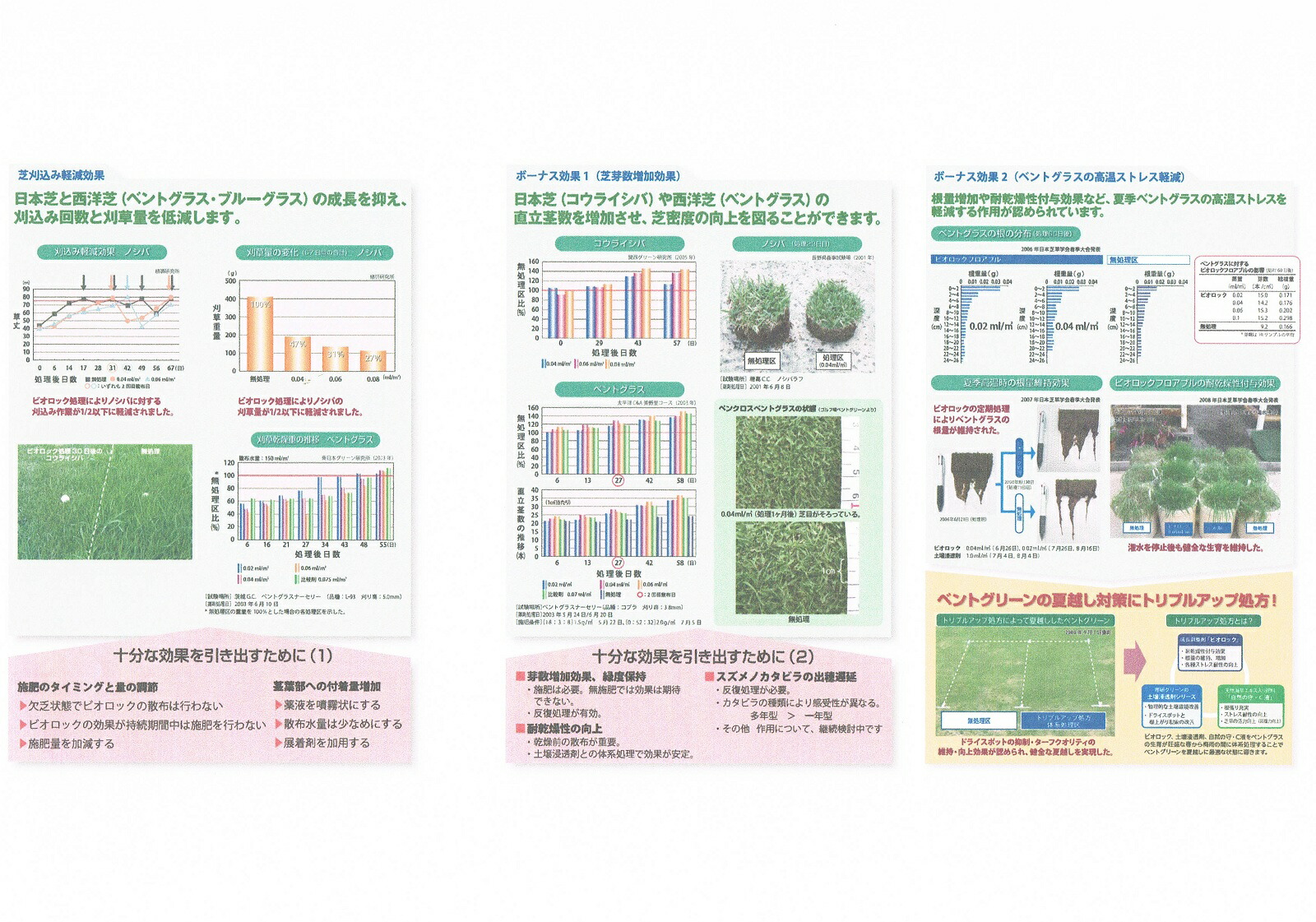 ビオロックフロアブル100ml【植物成長調整剤】