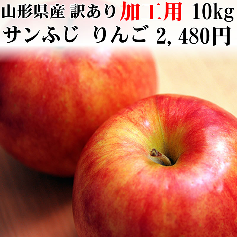 【加工用】【訳あり】山形県産　サンふじ　りんご　10kg　[加工用りんご１０キロ]