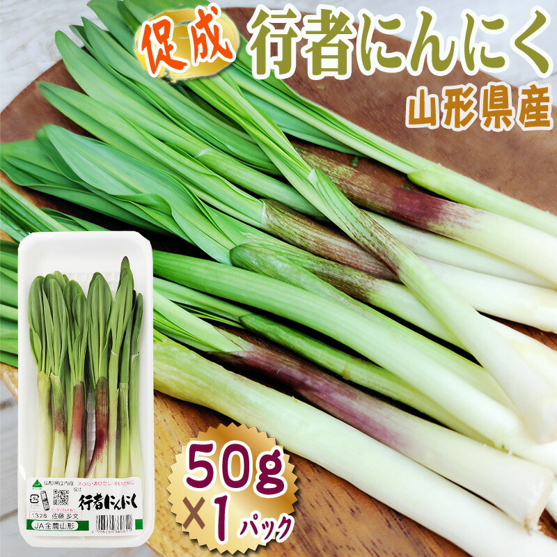 楽天市場】予約販売 5月15日頃よりご予約順次発送 わらび (生 楽天市場】予約販売 5月15日頃よりご予約順次発送 わらび (生