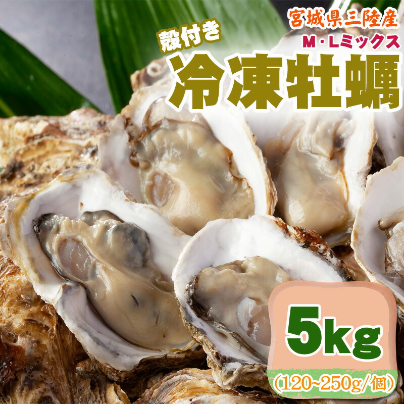 牡蠣さん専用 楽天市場】冷凍牡蠣 10kg 120〜250g/個 無選別 MLミックス 宮城
