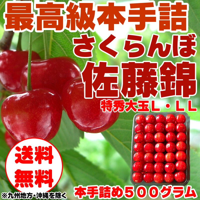 さくらんぼ 500g×2P 佐藤錦 山形県産秀L1kg手詰め 送料無料