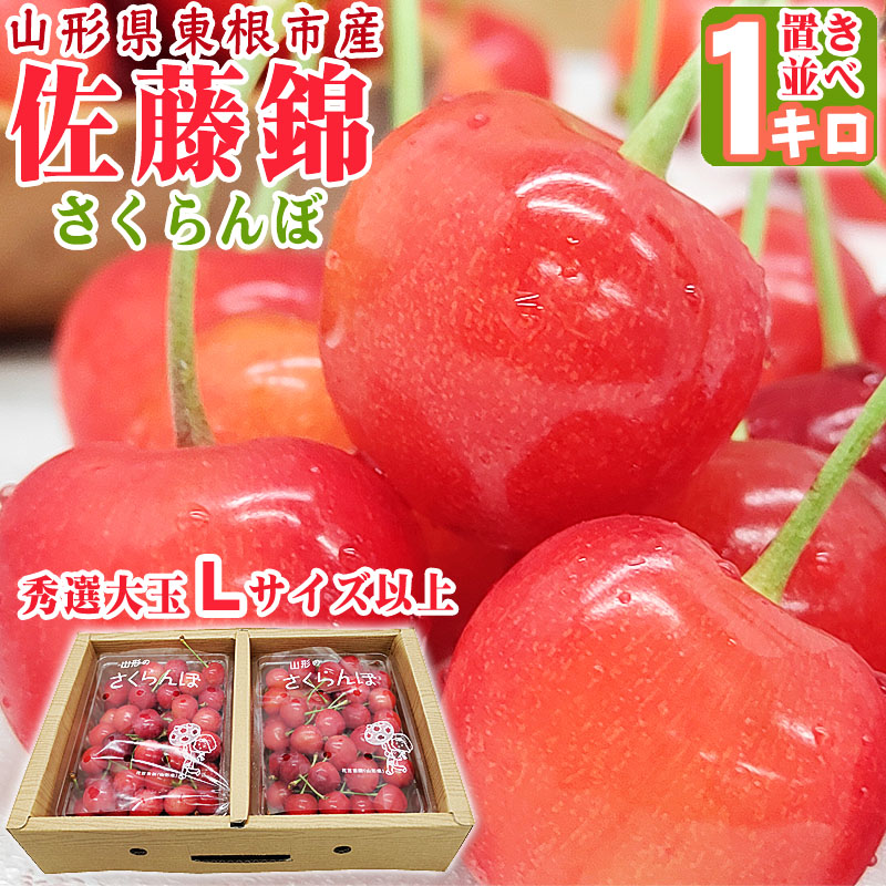 予約販売 6月上旬より順次発送 さくらんぼ 山形県産 佐藤錦 1kg 置き並べ 秀選 大粒Lサイズ以上 クール便【送料無料(九州・沖縄県を除く)】チルド [ｻｸﾗﾝﾎﾞ 佐藤錦 置並 1kg] ギフト お中元 プレゼント 熨斗対応