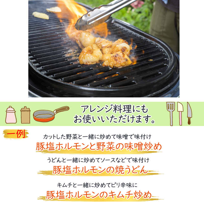 市場 豚 塩味500g×2袋 家庭用 BBQ 本格 肉 ホルモン 味付 焼肉 お取り寄せ 自宅用 お酒のつまみ グルメ