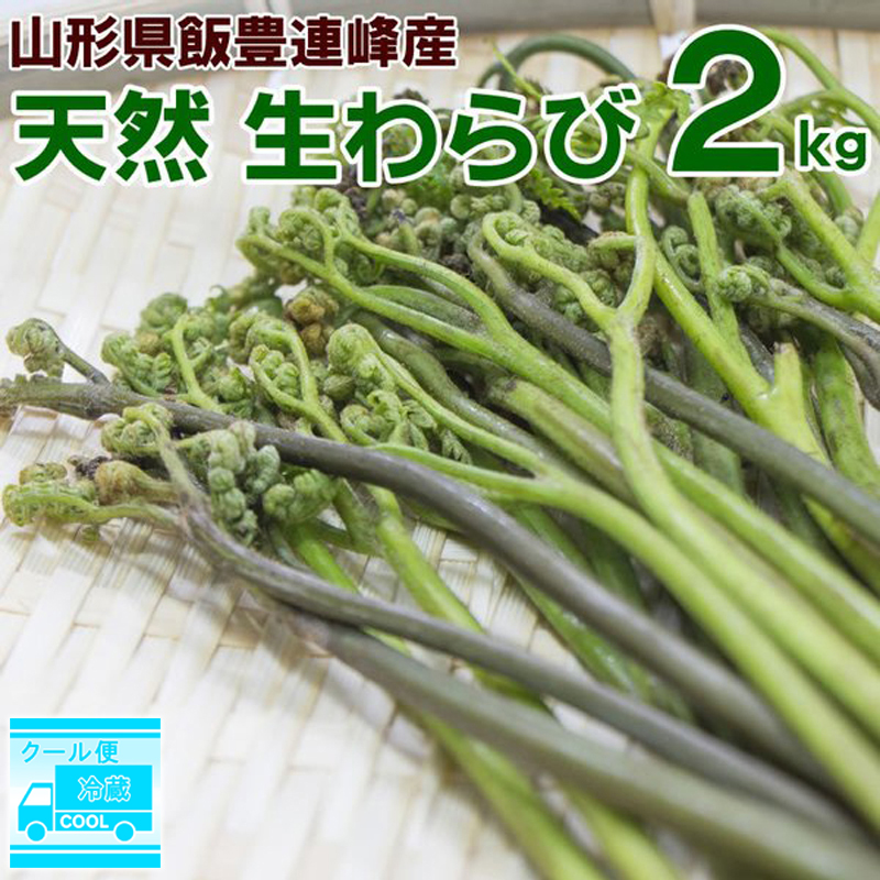 生産完了商品 新潟産 黒蕨２キロ 灰つき わらび ワラビ - 通販