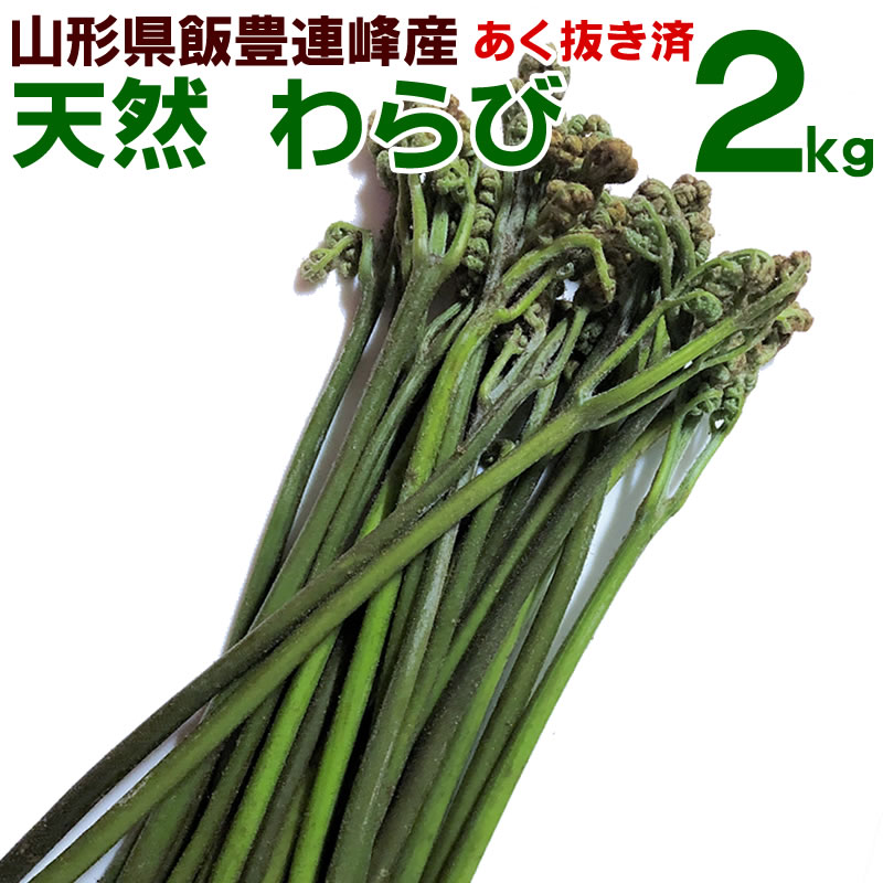 山形県産 アク抜きワラビ塩漬け 4kg(1kg×4袋)塩蔵 わらび 野菜 山菜