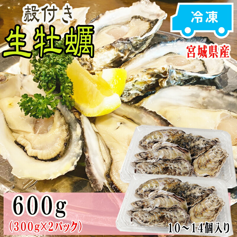 数量は多】 牡蠣 瞬間冷凍 レンジでチン 国産 宮城県産 600g 10〜14個入り 300g×2パック 蒸し牡蠣 お試し 冷凍 お取り寄せ  おうちグルメ 肉厚 時短 送料無料 殻付き 宮城県産生牡蠣2袋 ship-sd www.basexpert.com.br