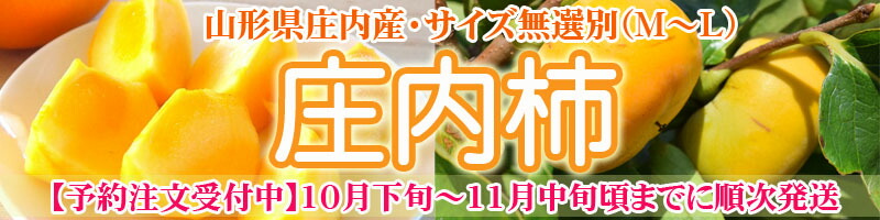 楽天市場】味付け玉こんにゃく 120玉入り（12玉入り×10袋） 山形 送料無料 [玉こんにゃく１２玉×１０袋 カムネット] :  東北の農産特産品アグリパートナー