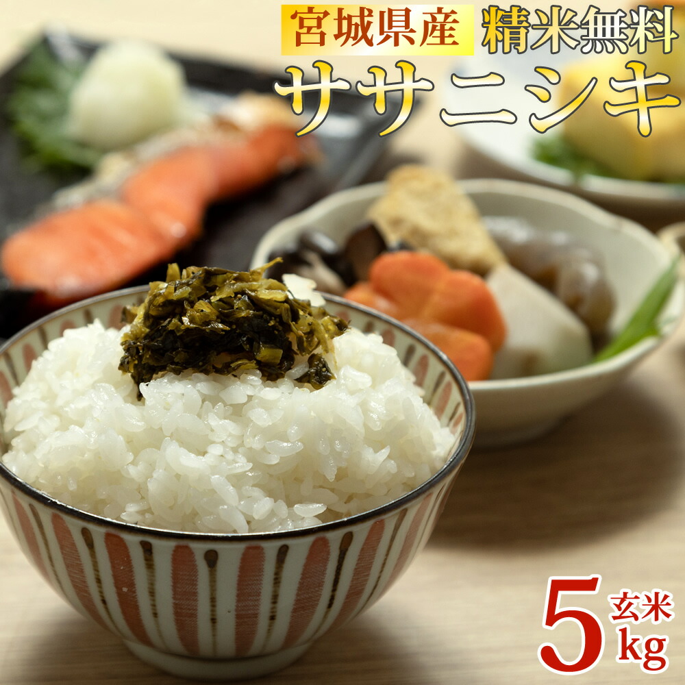 楽天市場】新米 米 玄米 10kg ササニシキ 5kg×2袋 令和7年産 宮城県産