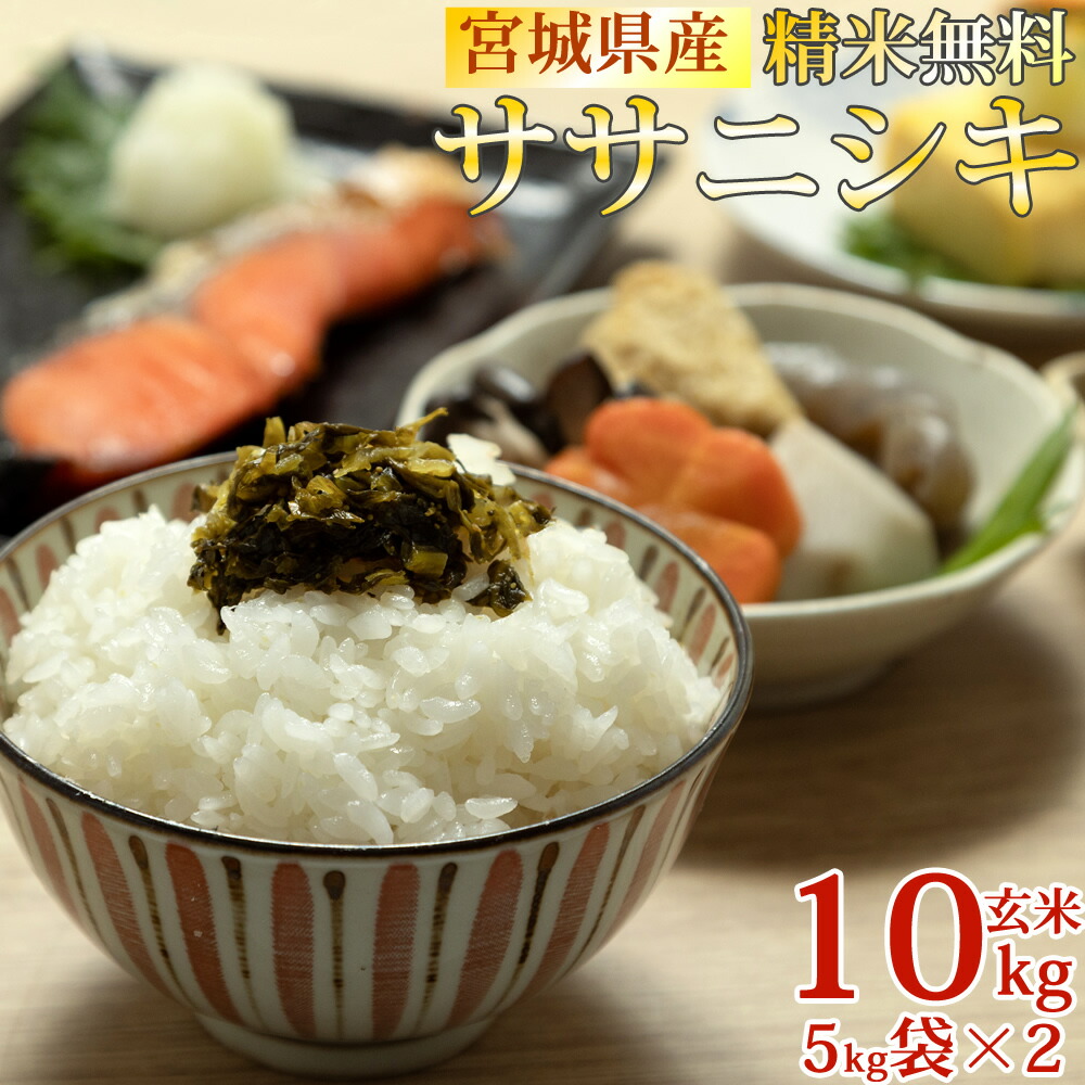 米　30kg　令和5年度産　ササニシキ　１袋 米30kg令和5年度産ササニシキ1袋