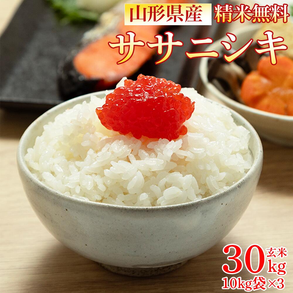 やまちゃん　ササニシキ玄米20 令和6年産(無農薬)山形県産 ササニシキ 玄米 20kg アレルギーの方必見