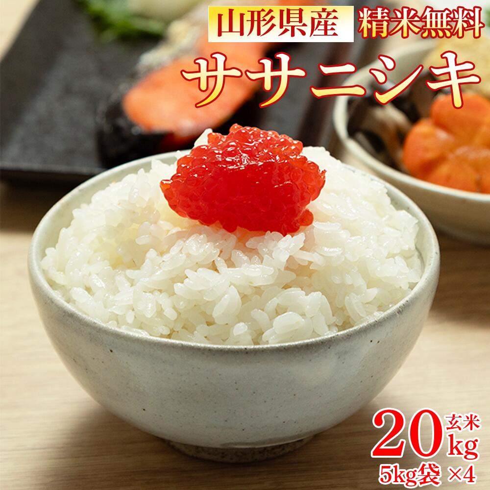 米 玄米 20kg ササニシキ 5kg×4袋 令和7年産 山形県産 精米無料 白米 無洗米 分づき 当日精米 送料無料