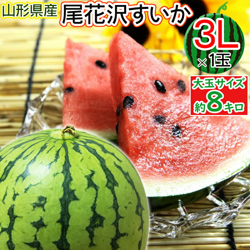 楽天市場】【予約販売】7月下旬から8月上旬に順次出荷【送料無料