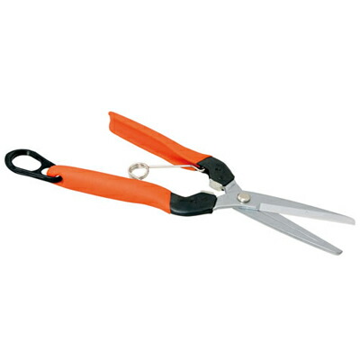 楽天市場】☆ポイント5倍☆花楯産業 にんにく根切り鋏 180mm 花楯作