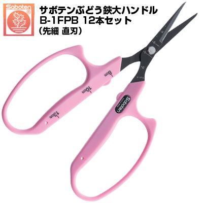  【MPFCHDAE29L】 限定デザイン