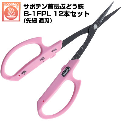 (送料無料でお得！)(12本セット) ぶどう鋏 サボテン 首長ぶどう鋏 直刃 NO.B-1FPL【サボテン ぶどう 首長ぶどうはさみ 摘粒 房作り 収穫 目盛付き ピンク色 ステンレス フッ素コート 先細 ロング刃 負担軽減 切味抜群 ぶどう農家 】｜アグリズ店