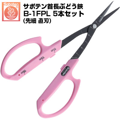 (貨物輸送無料でお得！)(5本仕掛ける) ぶどう鋏 カクタス 旗がしらぶどう鋏 直刃 NO.B-1FPL【カクタス ぶどう 旗がしらぶどう剪刀 摘粒 房営造 採り入れる 目盛付き添い人 ピンク色 ステンレス鋼 フッ素厚地の外套 先細 ロング刃 厄介なもの助け出す  切味人並み外れた ぶどうお百姓さん 】