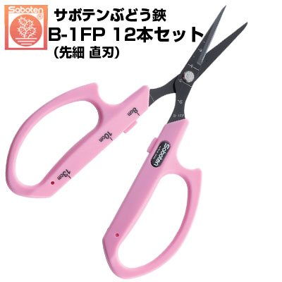 (貨物輸送無料でお得！)(12本仕掛ける) ぶどう鋏 カクタス 直刃 NO.B-1FP【カクタス ぶどう剪刀  摘粒 房営造 穫りいれる 目盛付き添い人  軽さ ピンク色 ステンレス鋼 フッ素厚地の外套 直刃 面取り製作 ホンブルグ帽脂 疲れにくい】