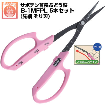 (貨物輸送無料でお得！)(5本仕掛ける) ぶどう鋏 カクタス 旗がしらぶどう鋏 そり刃 NO.B-1MFPL【カクタス 剪刀 ぶどう 旗がしらぶどう剪刀 摘粒 房営造 採り入れる 目盛付き添い人 ピンク色 ステンレス鋼 フッ素厚地の外套 先細 ロング刃 そり刃 厄介なもの助け出す  ぶどうお百姓さん】