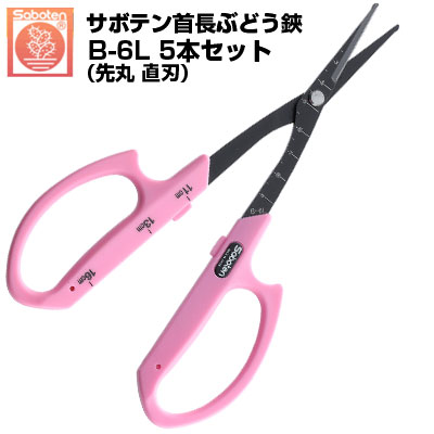 (貨物輸送無料でお得！)(5本仕掛ける) ぶどう鋏 カクタス 旗がしら先丸 直刃 NO.B-6L【カクタス ぶどう剪刀 摘粒 房営造 採り入れる 目盛付き添い人 ピンク色 フッ素厚地の外套 先丸刃 ロング刃 厄介なもの助け出す ぶどうお百姓さん 成り物園 シブに揺るぎ無い】