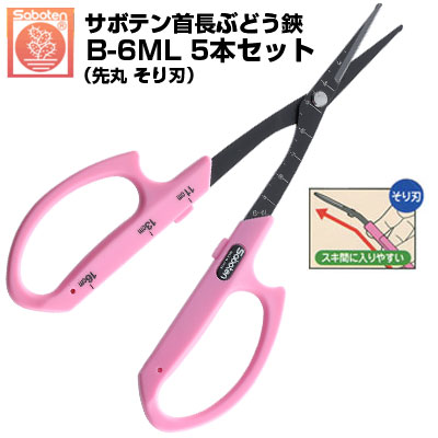 (貨物輸送無料でお得！)(5本仕掛ける) ぶどう鋏 カクタス 旗がしら先丸そり刃 NO.B-6ML【カクタス 旗がしらぶどう剪刀 採り入れる 摘粒 房営造 目盛付き添い人 ピンク色 ステンレス鋼 フッ素厚地の外套 先丸刃 ロング刃 そり刃 厄介なもの助け出す ヤニ・シブに揺るぎ無い ぶどうお百姓さん 成り物園】