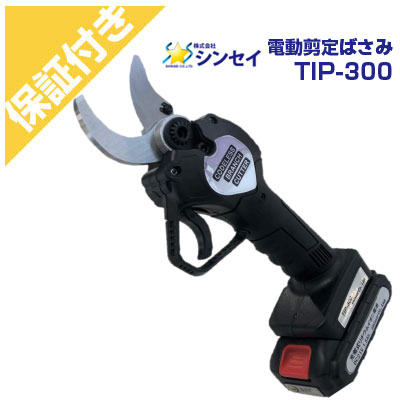 今季注目 本日発送  【M2T053NTSJR】 限定デザイン