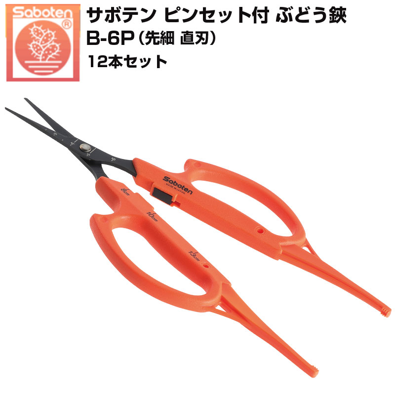 【12本仕掛ける】 カクタス ぶどう鋏 毛抜き付 直刃 B-6P ぶどう剪刀 摘粒 間びく 採り入れる鋏 ジベ取り計らう 目じるし グレープ 園芸剪刀 軽さ フッ素厚地の外套 日本製 貨物輸送無料
