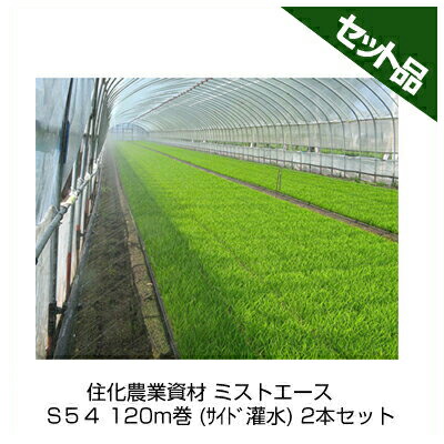 住化農業資材 ミストエース S５４ 120m巻 (ｻｲﾄﾞ灌水) 2本セット 潅水チューブ 灌水チューブ