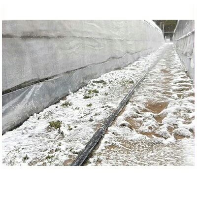 住化稼穡原材料 スミサンスイ R消雪 100m巻 (~6m) 潅水熱電子管 灌水熱電子管