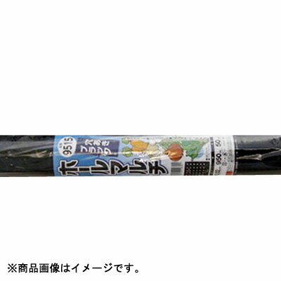 シンセイ 穴あき黒マルチ ホールマルチ 9515 0 02mm 95cm 50m 穴径45mm 5条 株間15cm 条間15cm 10本入 2セット 農業資材 園芸資材 マルチング ガーデニング 家庭菜園 農園 Diy Painfreepainrelief Com