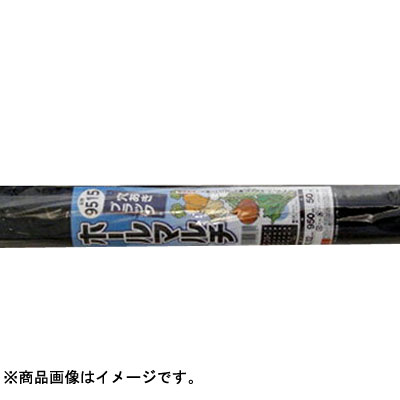 シンセイ 穴あき黒マルチ ホールマルチ 9235 0 02mm 95cm 50m 穴径60mm 2条 株間35cm 条間45cm 10本入 2セット 農業資材 園芸資材 マルチング ガーデニング 家庭菜園 農園 Diy Linumconsult Co Uk