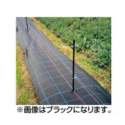 人間宅聞き入れる 防草腰掛け 1m 日本広広としたはりつけ台 防草アグリ腰掛け SG1515 1m X 100m 銀 しろがね色薄墨色 3本 100珊 農学原材料 メガソーラー 太陽光線発生