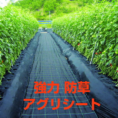 人間宅聞き入れる 防草腰掛け 1.5m 日本広広としたはりつけ台 豪然たるアグリ腰掛け BB2218 1.5m X 100m 黒 黒いこと 3本 150珊 農学原材料 太陽光線発生 メガソーラー