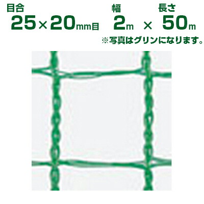 ダイオ化成 防鳥・防獣サイバー空間 ダイオネット 2520 黒 25×20粍目 2m×50m (農学用)(農学原材料)(栽培所)(園芸)(身寄り家庭菜園)(代引不可)