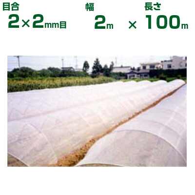 ダイオ化成 殺虫剤サイバー空間 ダイオサンシャイン 9010 目合2×2粍目 2m×100m (代引不可) (農芸用 園芸用 身寄り家庭菜園 ガーデニング 農芸原材料 殺虫剤網 虫除けサイバー空間 水平坑 畑 ビニール棲み家 蔬菜 網目 べたがけ 澄み切った イノベックス 200糎) 農業資材-防虫ネット-花・ガーデン・DIY