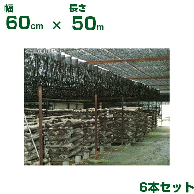 ダイオ化成 懸垂型 遮光資材 黒 ダイオフララ 60cm X 50m 6本 (代引不可) (農業資材 人工ほだ場 ホダ場 きのこ 椎茸 原木 幼稚園 保育園 砂場 プール 公園 休憩所 観光農園 商業施設 熱中症 庭 サンシェード 日よけ) 42,633円
