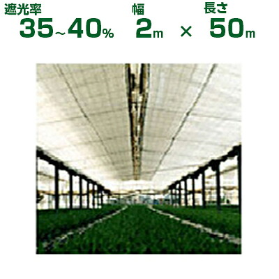 ダイオ化成 遮光サイバー空間 白 ダイオ クールホワイト 520SW（遮光率35～40%）2m×50m(農林用)(園芸用)(代引不可)