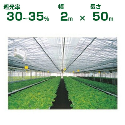 ダイオ化成 遮光ネット シルバーグレイ ダイオネット 410SG 遮光率30～35% 2m×50m (代引不可) (農業用 植物 畑 庭 育苗 植木 園芸 遮熱 サンシェード トンネル 茄子 人参 ネギ ハウス 日よけ ミニトマト みょうが メロン 野菜 蘭 レタス 露地 牛舎 椎茸 原木 200cm 銀)