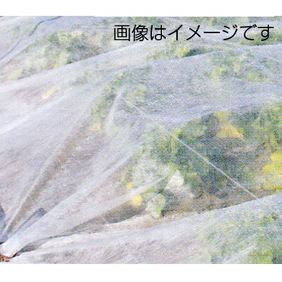 三菱ケミカルアグリドリーム 不織布 パオパオM-6 240糎 X 100m 育苗 パオパオ90よりも目付けが主として世話好き 保温 保湿 MKV現金前貸し 2.4m 被覆資材-農業資材