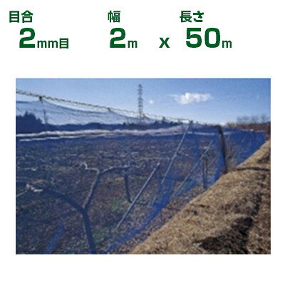 【個人宅配送OK】日本ワイドクロス 防風ネット ワイドラッセル防風網 BL200 青 目合2mm目 2m×50m(農業用 家庭菜園 畑 ハウス 農業資材 農園 園芸 果樹 野菜 植木 庭木 りんご レモン みかん オレンジ 雪 網目 台風 ベランダ ブルー 幅 200cm)