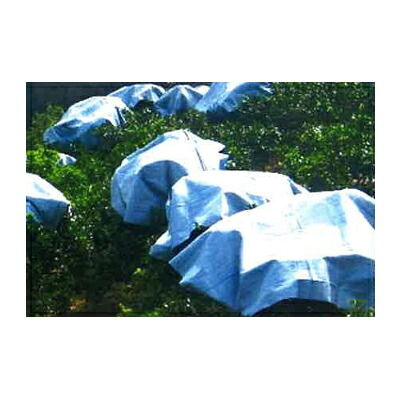 日本ワイドクロス カンキツ摘果シート 50枚入 3m X 3m BW2415 白黒リバーシブル みかん 柑橘類 樹冠上部 生理落果促進|アグリズ店