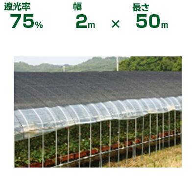 【個人宅配送OK】日本ワイドクロス 遮光ネット ワイドラッセル遮光ネット FE6 ブラック 遮光率約75% 2m×50m (農業用 植物 畑 庭 育苗 園芸 遮熱 トンネル 茄子 人参 ネギ ハウス 日よけ みょうが メロン 野菜 蘭 りんご レタス 露地 ガーデニング 牛舎 椎茸 200cm)