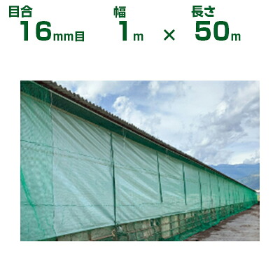 【個人宅配送OK】日本ワイドクロス アニマルネット GR16 グリーン 16mm目 1m×50m (農業用)(園芸用)(防獣ネット)(農業資材)(家庭菜園)(農園)(防獣網)(獣害対策)(100cm)