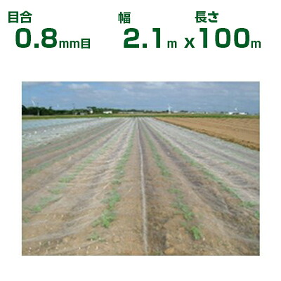 【人間宅送りとどける聞き入れる】日本広広とした差し交わす 殺虫剤サイバー空間 サンサンネット ソ飛翔 SL2700 目合0.8粍目 2.1m×100m 透光率90% (農芸用 園芸用 身寄り家庭菜園 農芸原材料 殺虫剤網 虫除けサイバー空間 水平坑 畑 ビニール棲み家 蔬菜 網目 べたがけ 白 アブラムシ アザミ牡馬 210糎) ガーデニング・農業-農業資材