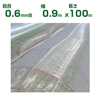 【人間宅送りとどける聞き入れる】日本広広とした差し交わす 殺虫剤サイバー空間 サンサンネット ソ飛翔 SL3200 目合0.6粍目 0.9m×100m 透光率87% (農芸用 園芸用 身寄り家庭菜園 農芸原材料 殺虫剤網 虫除けサイバー空間 水平坑 畑 ビニール棲み家 蔬菜 網目 べたがけ 白 アブラムシ アザミ牡馬 90糎) 花・ガーデン・DIY-防虫ネット