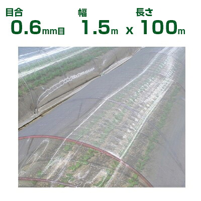 【個人宅配送OK】日本ワイドクロス 防虫ネット サンサンネット ソフライト SL3200 目合0.6mm目 1.5m×100m 透光率87% (農業用 園芸用 家庭菜園 農業資材 防虫網 虫除けネット トンネル 畑 ビニールハウス 野菜 網目 べたがけ 白 アブラムシ アザミウマ 150cm)