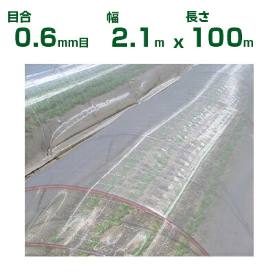 【個人宅配送OK】日本ワイドクロス 防虫ネット サンサンネット ソフライト SL3200 目合0.6mm目 2.1m×100m 透光率87% (農業用 園芸用 家庭菜園 農業資材 防虫網 虫除けネット トンネル 畑 ビニールハウス 野菜 網目 べたがけ 白 アブラムシ アザミウマ 210cm)
